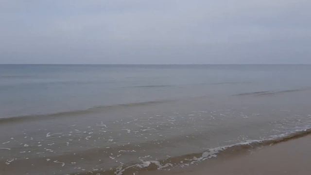 Дельфины Анапа, Джемете смотреть онлайн