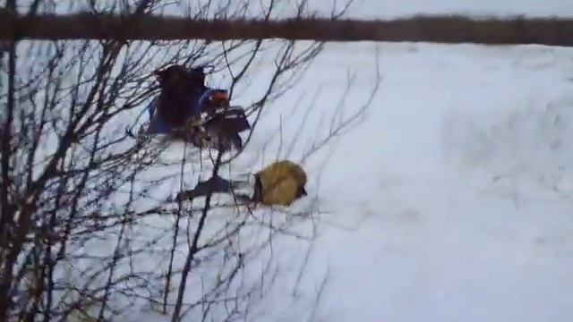 Me and Mitch смотреть онлайн