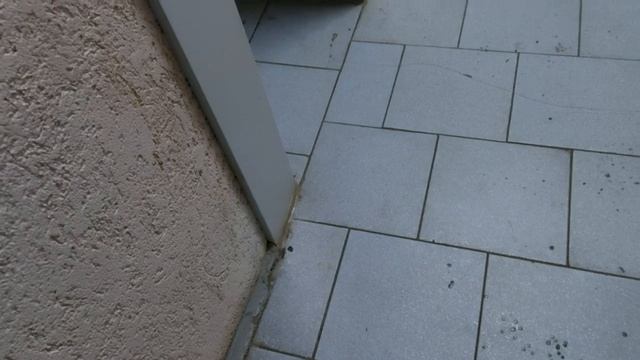 Лифты МЭЛ 2011 Q=400,630кг V=1м/с.по адресу:Грибовская 6 смотреть онлайн