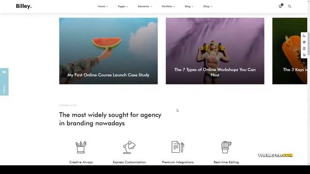 Billey - Creative Portfolio and Agency WordPress Theme 15 woocommerce Build Website смотреть онлайн