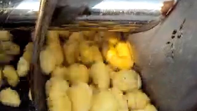 Очистка корнеплодов (морковь, свекла, картошка)  корундовыми валами Vega CND 2300