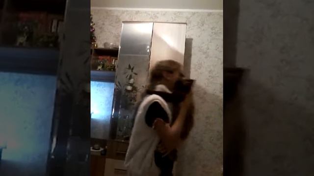 Мой кот лезет мне в РОТ смотреть онлайн