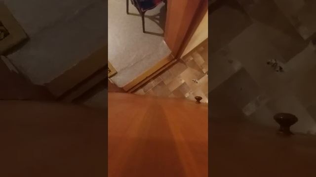ТЕЛЕФОН УПАЛ ОН БЫЛ НА ДВЕРИ БЛИН!!!?? (ч.)(о.) смотреть онлайн