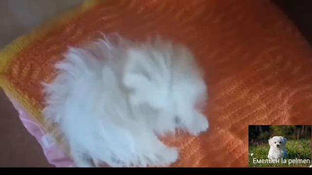 И снова здравствуйте)! смотреть онлайн