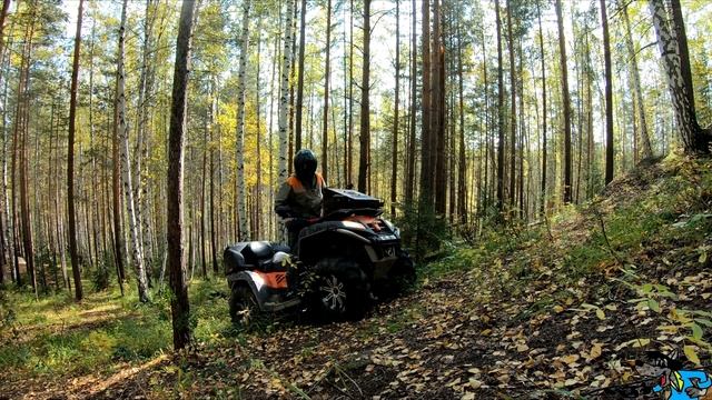 Золотая осень, поездка на "Соколиный камень" ... смотреть онлайн