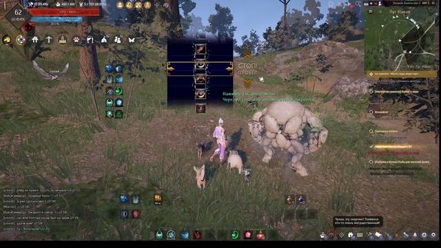 Black Desert- БДО - разгребаю разломы и просто играю для души смотреть онлайн