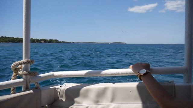SNORKELING IN BRIJUNI ISLANDS (Croatia Travel Vlog) смотреть онлайн