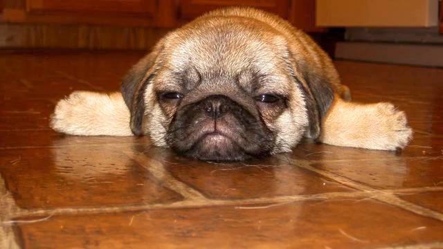 Песня о любви . Это - хит! Море любви! смотреть онлайн