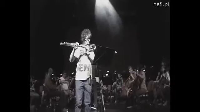 Pearl Bass Flute - Leszek HeFi Wiśniowski смотреть онлайн