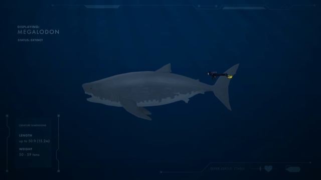 LARGEST SEA CREATURES | ANIMATED Size Comparison (Sea Monsters)