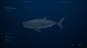 LARGEST SEA CREATURES | ANIMATED Size Comparison (Sea Monsters)