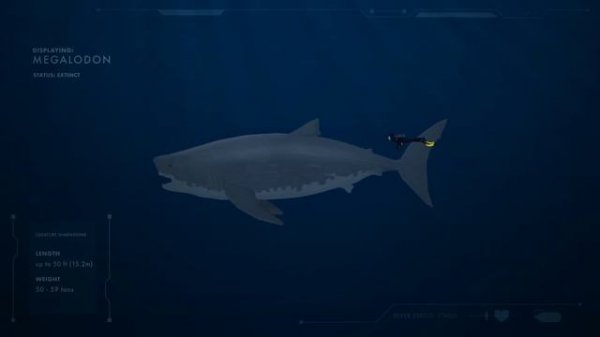 LARGEST SEA CREATURES | ANIMATED Size Comparison (Sea Monsters)