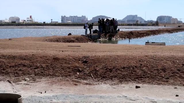 Птичий заповедник Эйлат смотреть онлайн