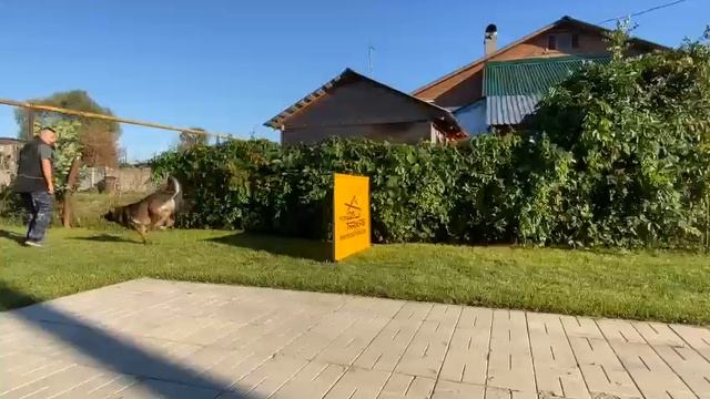 Зоркинхоф Житан прыжок