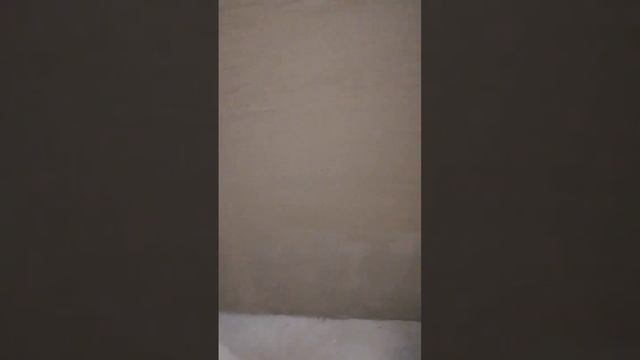 чем можно штукатурить в ванной. а чем нельзя.