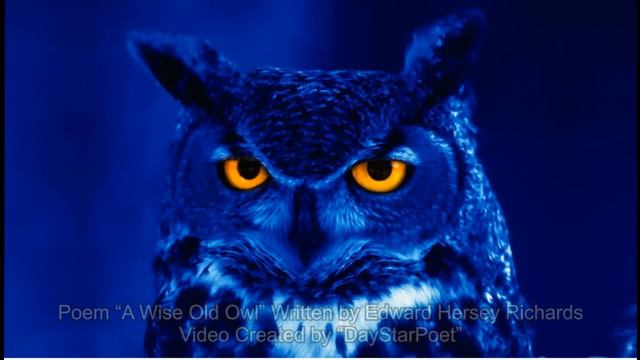 "A Wise Old Owl" by Edward Hersey Richards смотреть онлайн