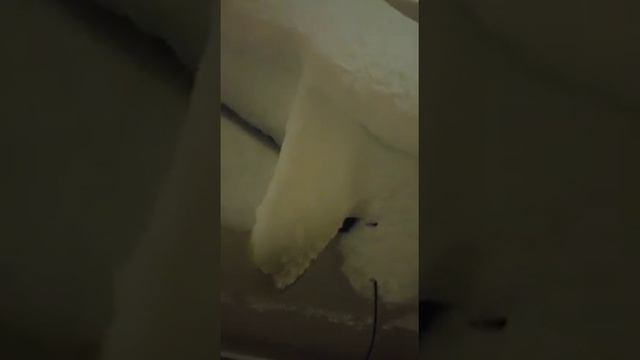 Природа доработала Funcargo смотреть онлайн