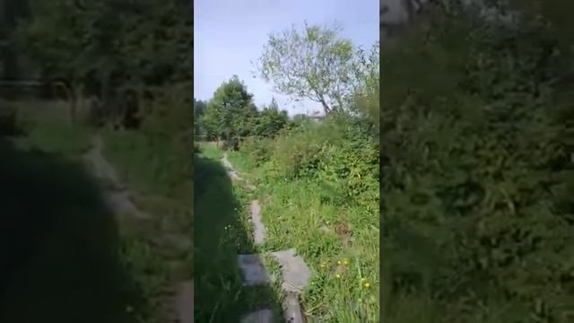 Глотовка.Ульяновская обл.Инзенский район. смотреть онлайн