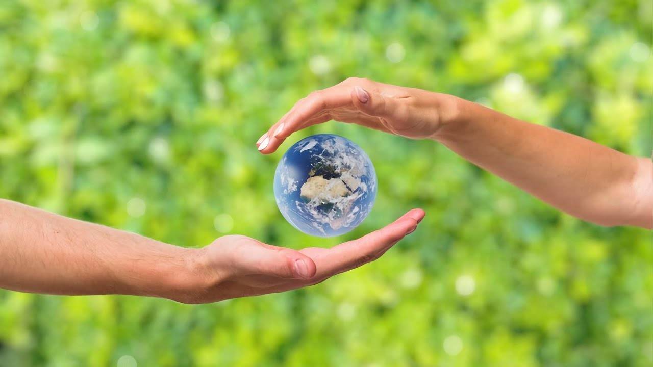 Презентация Ecoideal от Игоря Жабина