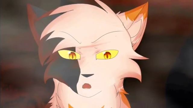 Коты Воители - Миру Мир смотреть онлайн