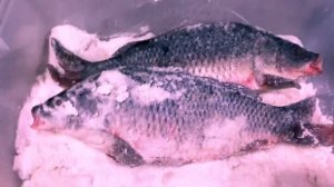 СУХОЙ ПОСОЛ РЫБЫ. Приготовление ВКУСНОЙ ВЯЛЕНОЙ РЫБЫ. Как засолить КАРПА.