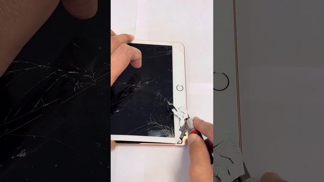 Little girl got raged at Roblox and destroyed her iPad ? #apple #roblox #ipad смотреть онлайн