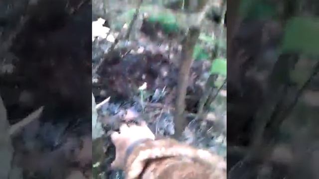 Серёга на грибах, Караганда 4 смотреть онлайн