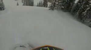 Free ride