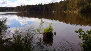 Можга рыбалка
