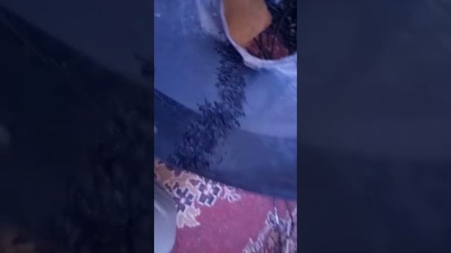 Ремонт без лишних трат времени