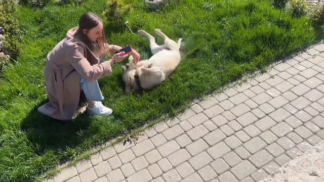 Прием у Ортодонта. Играем в Экивоки. 29.04.2023 смотреть онлайн