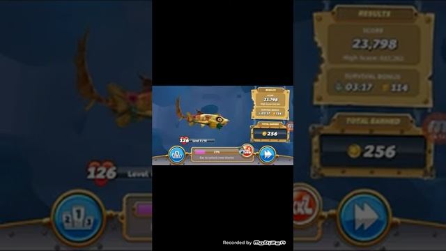Hungry shark world:wobbegong gameplay смотреть онлайн