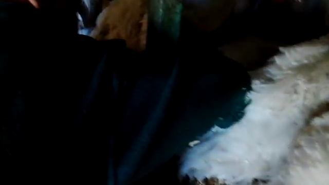 Собираем яйца в сарае смотреть онлайн