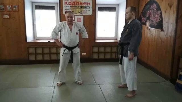 2й семинар А.Вощинина по карате: вопросы и ответы смотреть онлайн