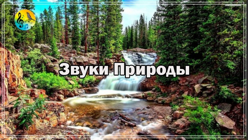 Звуки Природы ? Шум Реки С Каскадами В Живописном Лесу ? Звуки Природы Для Тела смотреть онлайн