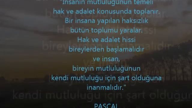 Cemal Safi - "Hadi Git" şiiri v2 yankılı BS'lik смотреть онлайн