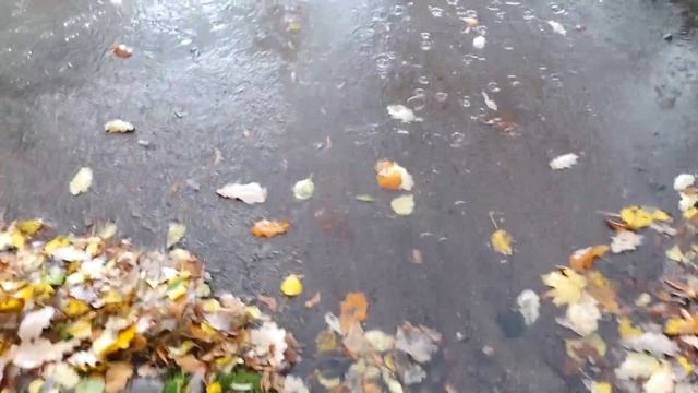 ВЛОГ: Мальчик или девочка? 16.10.21