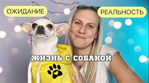ЖИЗНЬ С СОБАКОЙ: ОЖИДАНИЕ VS РЕАЛЬНОСТЬ
