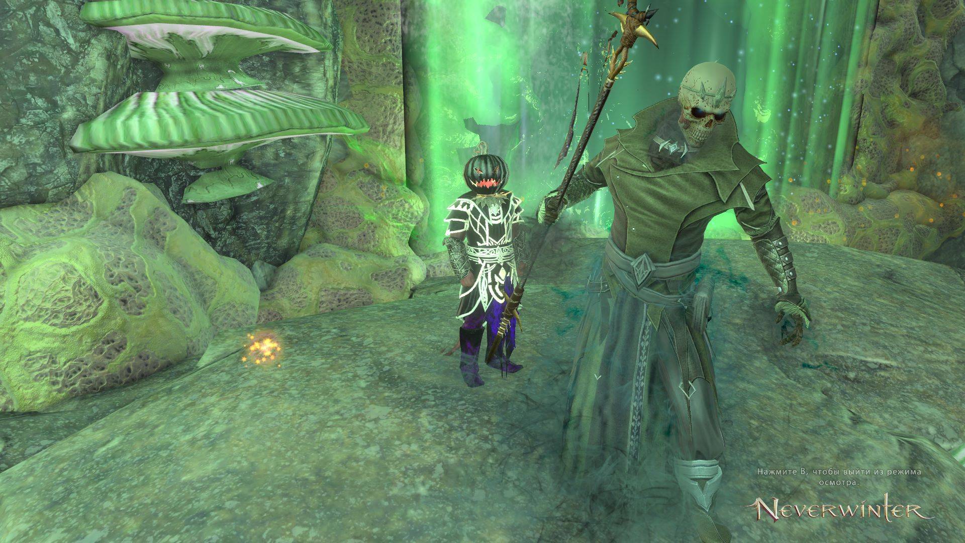 Neverwinter online смотреть онлайн
