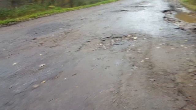 Дороги Новгородской области смотреть онлайн