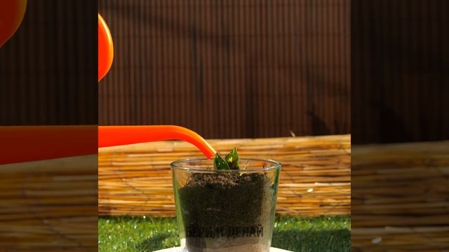 ГЕНИАЛЬНЫЕ СОВЕТЫ ДЛЯ ВЫРАЩИВАНИЯ РАСТЕНИЙ И ЛАЙФХАКИ ДЛЯ САДА смотреть онлайн