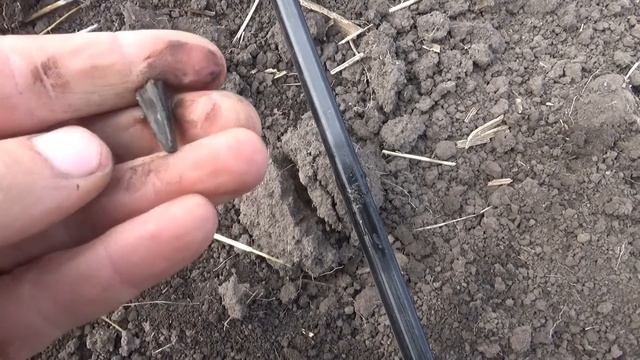 Копаем интересное поле,от скифов до советов ,у камрада Полуполтинник Е-2 смотреть онлайн