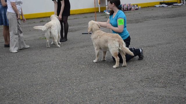 Летиция Дивный Цветок смотреть онлайн