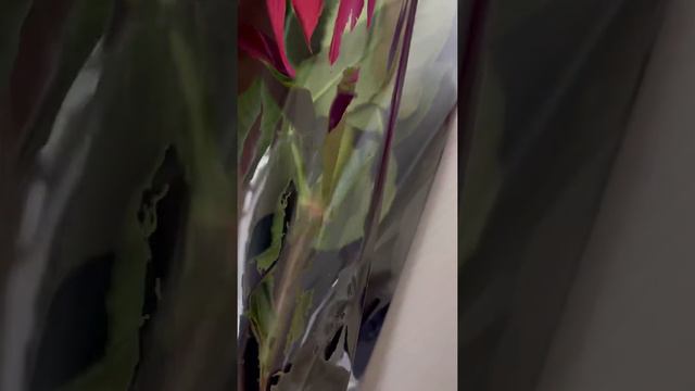 Happy Mother’s Day| 21 March | Red rose #mothersday #momlove #mommy #ammi #kidslove смотреть онлайн
