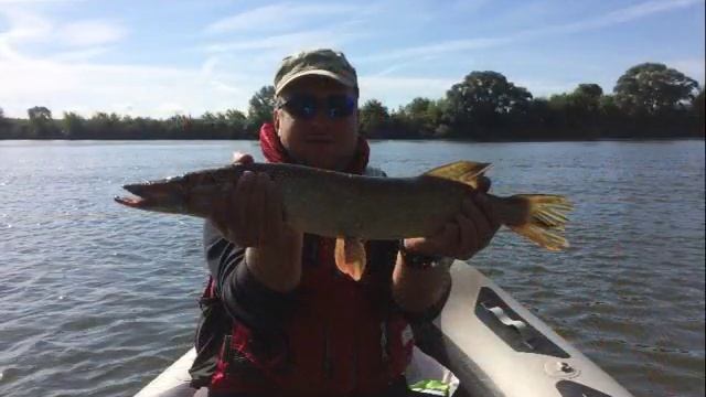 Отчет о рыбалке в мае 2018 года смотреть онлайн