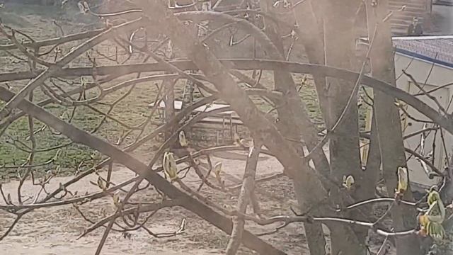 Крестьянский суп на ужин.?Растюшки меня радуют.☺