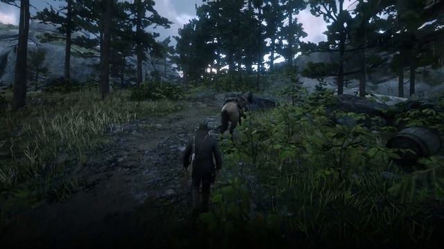 Red Dead Redemption 2 #49 - Губная Гармошка для Сэди и Карманное Зеркало для Молли смотреть онлайн