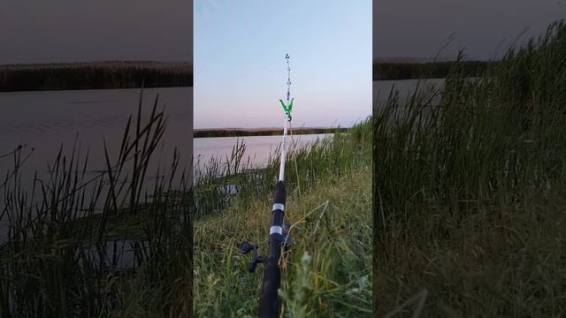 Вечер на рыбалке #вечер #рыбалка #рыба #природа #удочка #река #отдых #лето #закат #звукиприроды смотреть онлайн