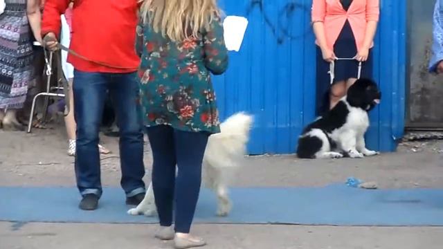 Банхары в Улан-Удэ ч.2 смотреть онлайн