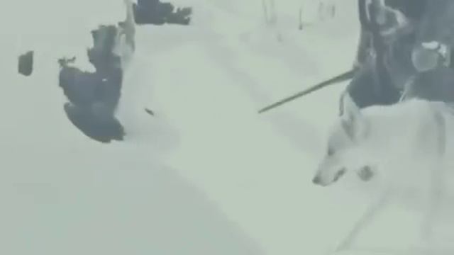 За честь и мудрость смотреть онлайн